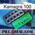 Kamagra 100 new04